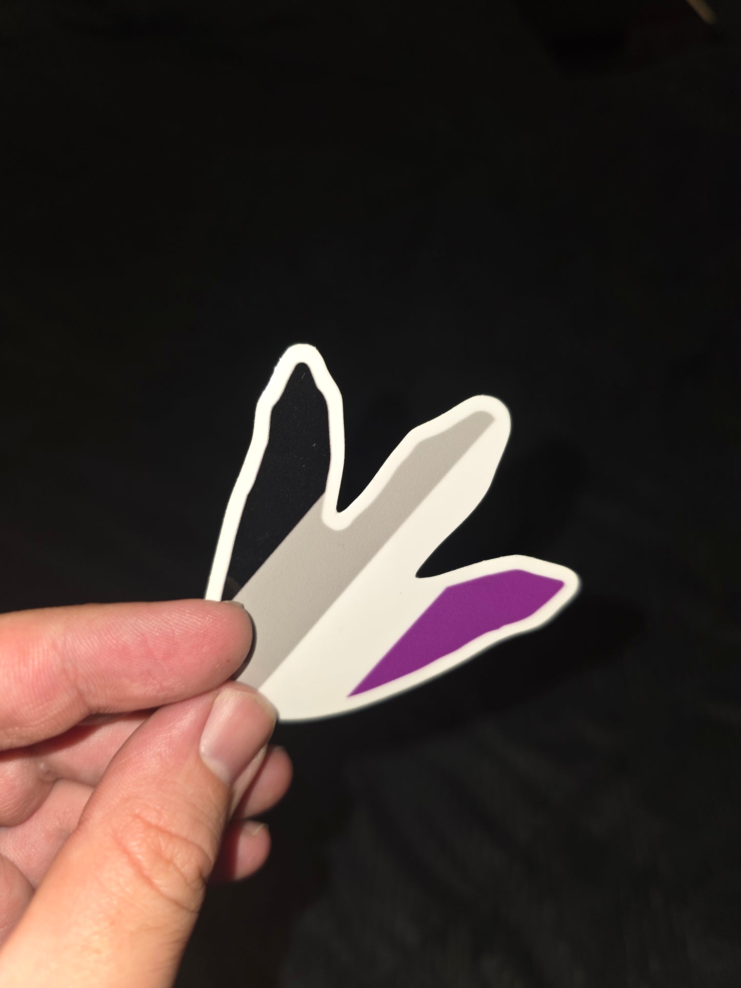 2.5" Asexual Flag Dino Footprint