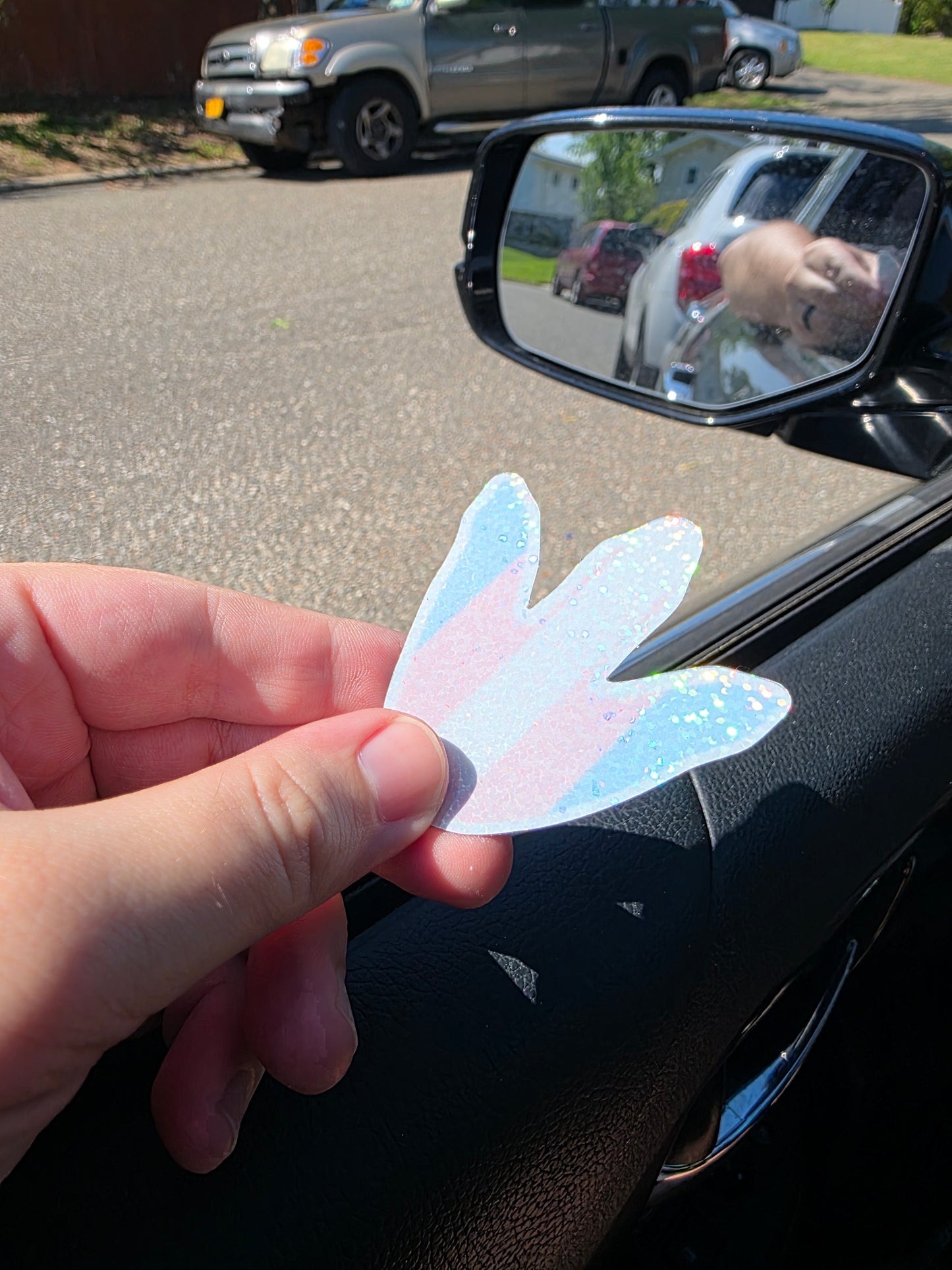 2.5" Glitter Trans Flag Dino Footprint