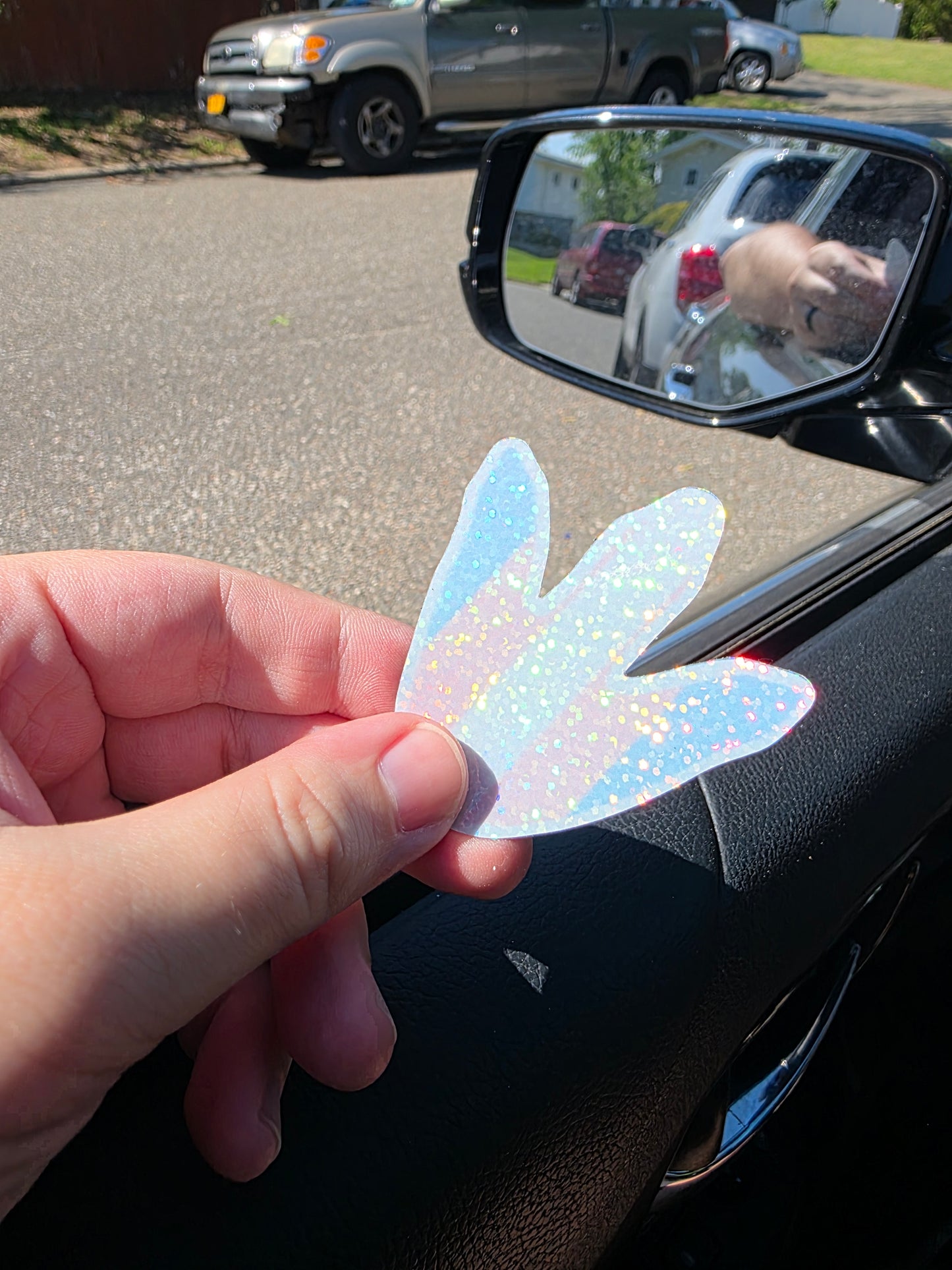 2.5" Glitter Trans Flag Dino Footprint