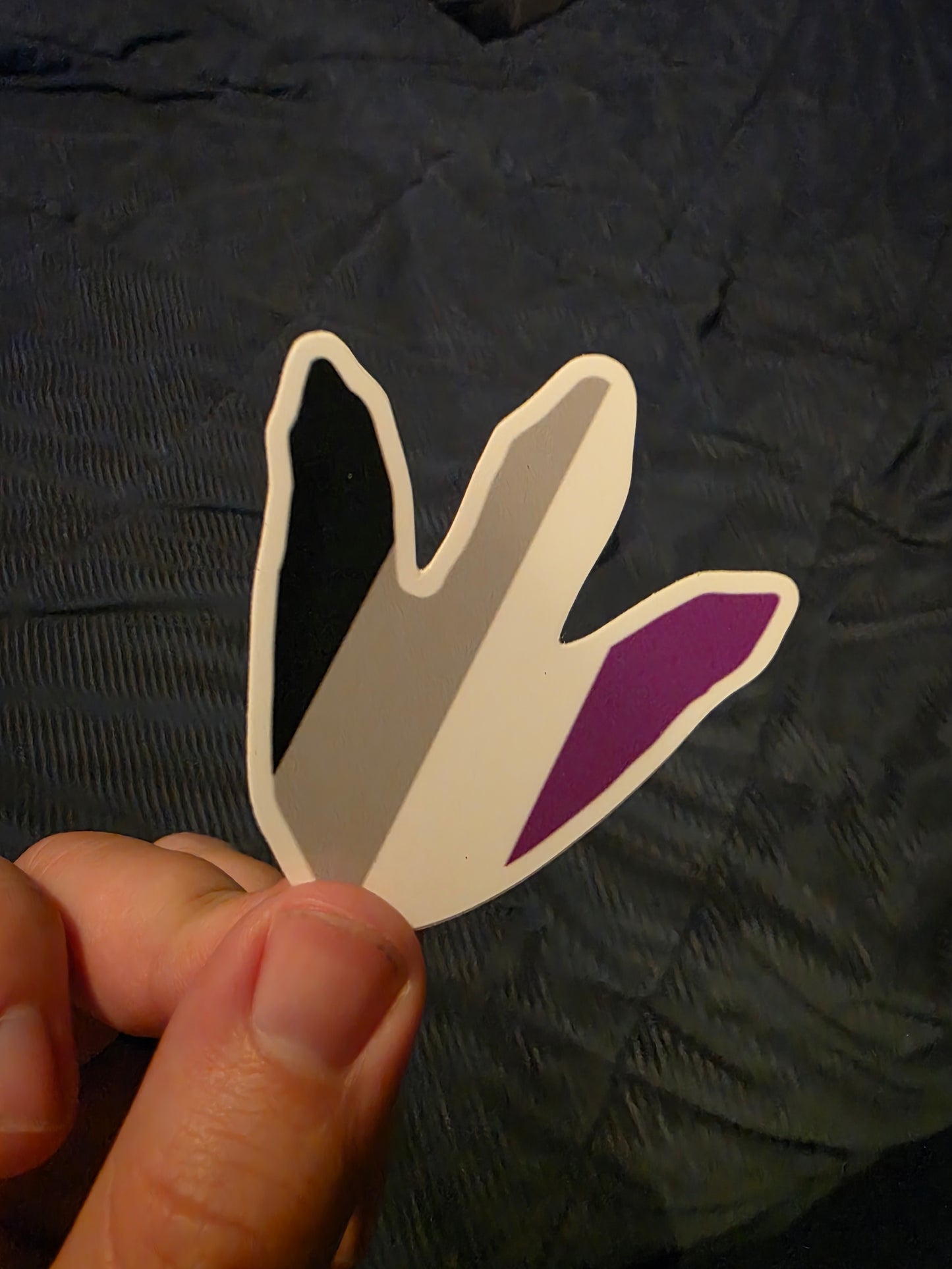 2.5" Asexual Flag Dino Footprint